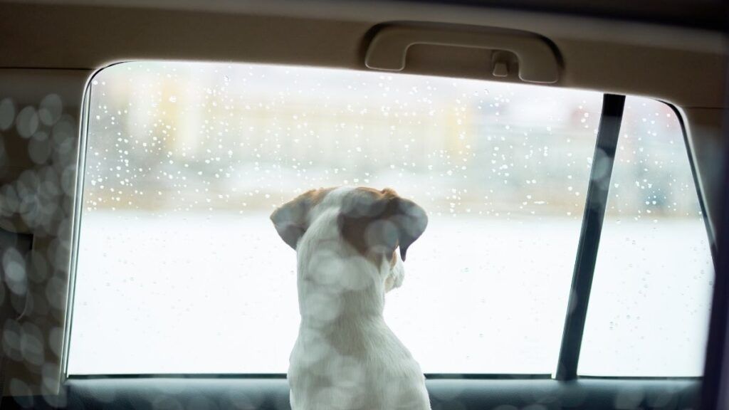 20 Issues RVers Want They Had Identified Earlier than Shopping for an RV