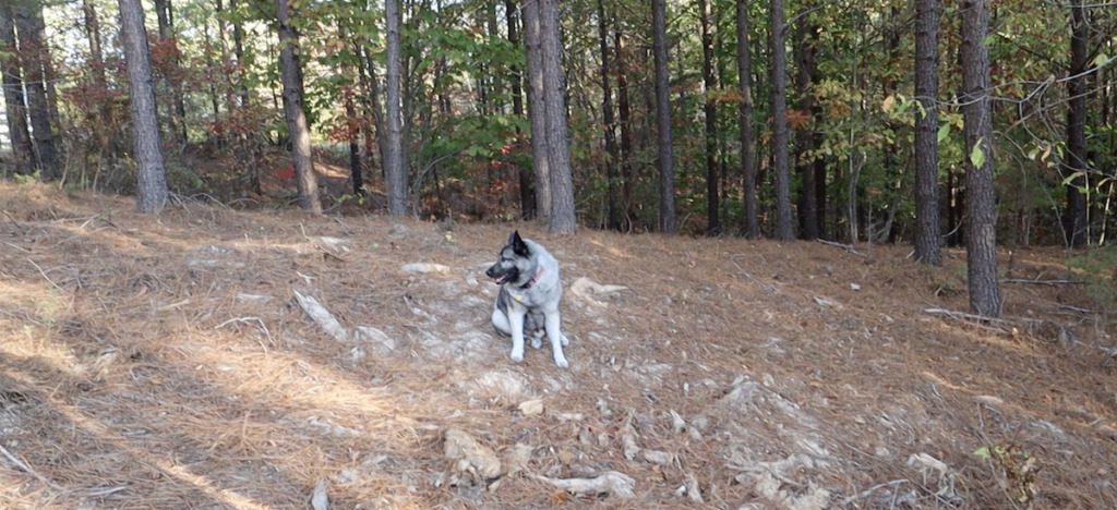 12 Enjoyable RV Stocking Stuffers for Males & Ladies