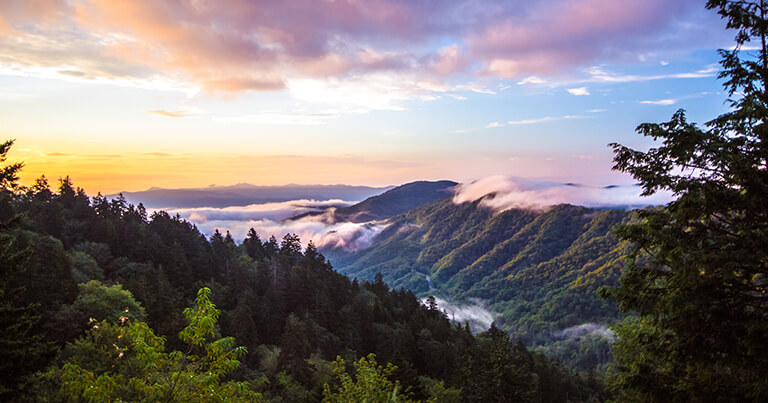 Prime 5 RV Locations in America  | Plan Your Epic Street Journey