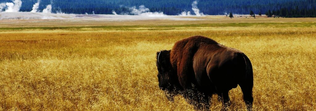 Be Ready! Security Devices for EVERY DANGER RVers Face