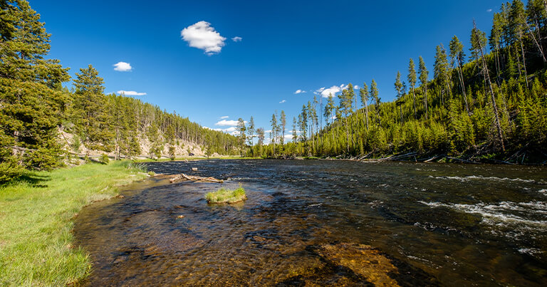 Prime 5 RV Locations in America  | Plan Your Epic Street Journey