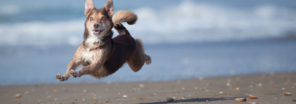 30 Issues You Must Survive a Lengthy Highway Journey