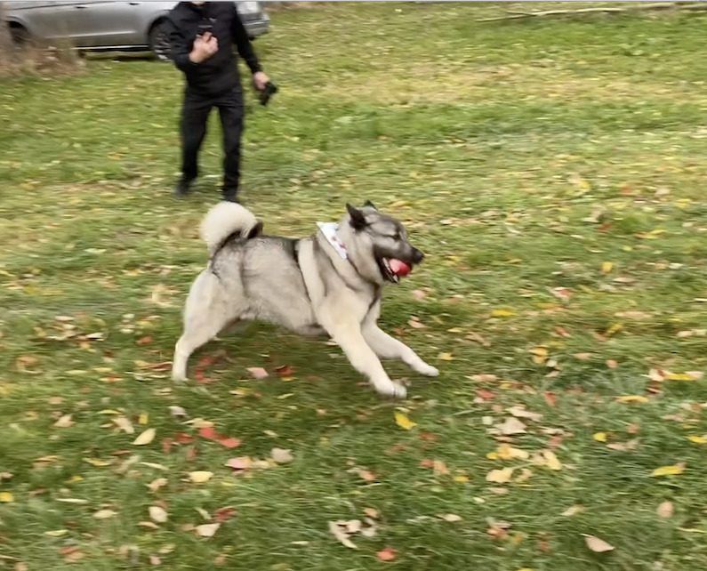 How one can Take care of Unhealthy Tenting Neighbors