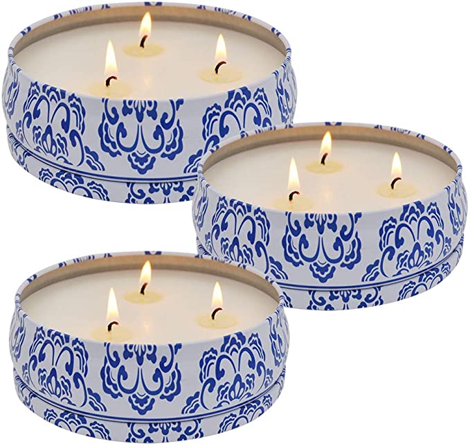 Finest Mosquito Repellent Machine for Tenting